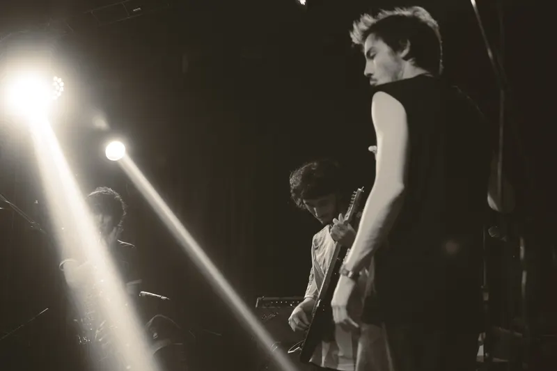 Anexo live