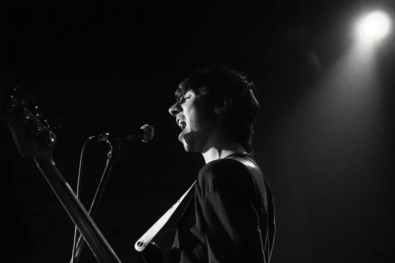 Anexo live