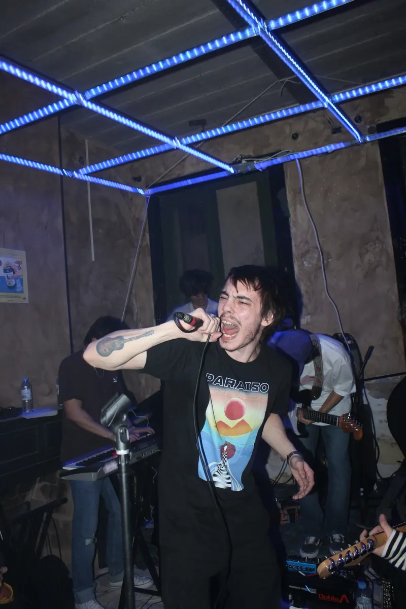 Anexo live